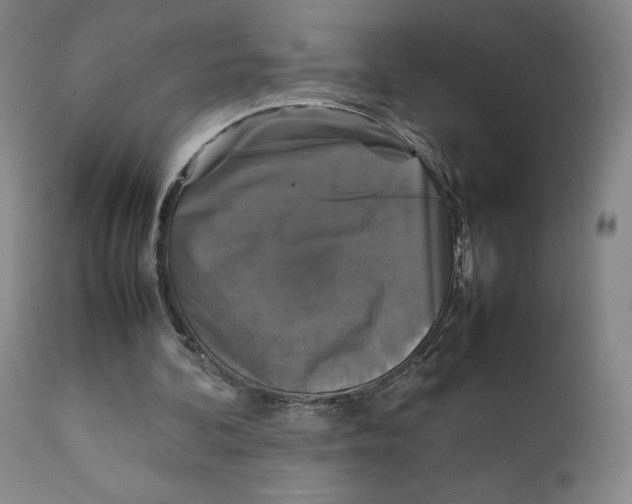 X0000111230292200907231511