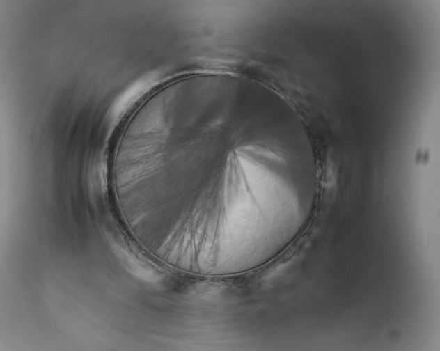 X0000111230294200907231511