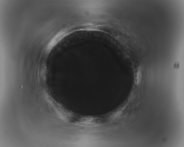 X0000111230295200907231511