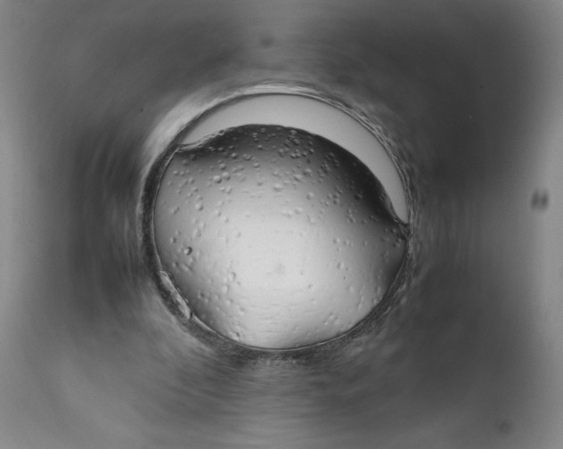 X0000111230296200907231511