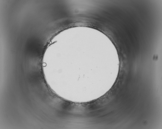 X0000111230297200907231511