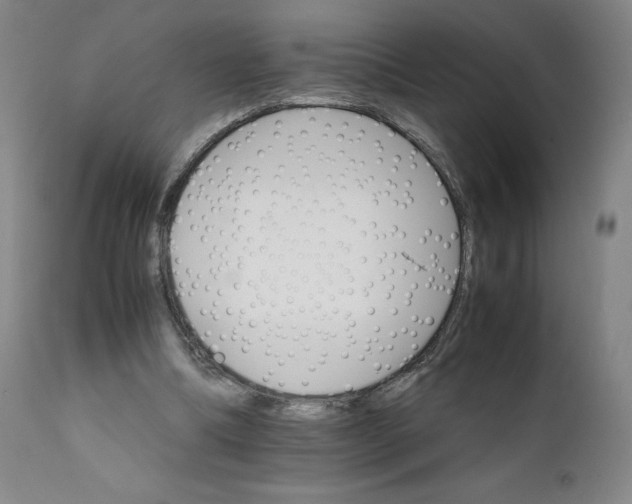 X0000111230298200907231511