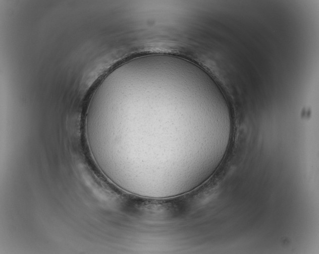 X0000111230299200907231511