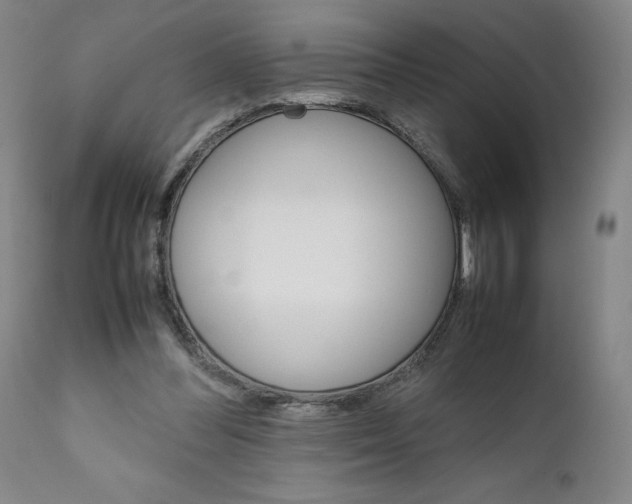 X0000111230300200907231511