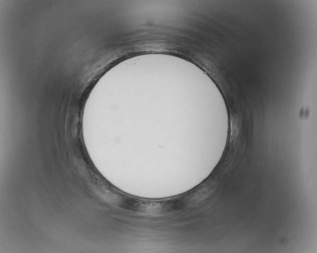 X0000111230301200907231511