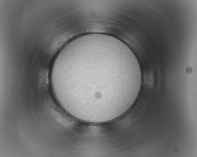 X0000111230302200907231511