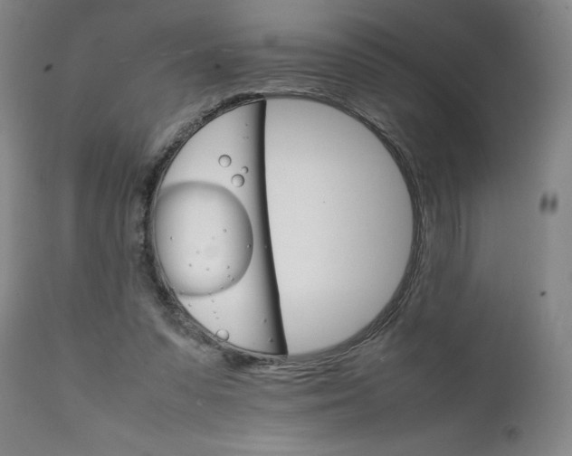 X0000111230303200907231511