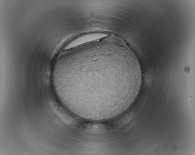 X0000111230304200907231511