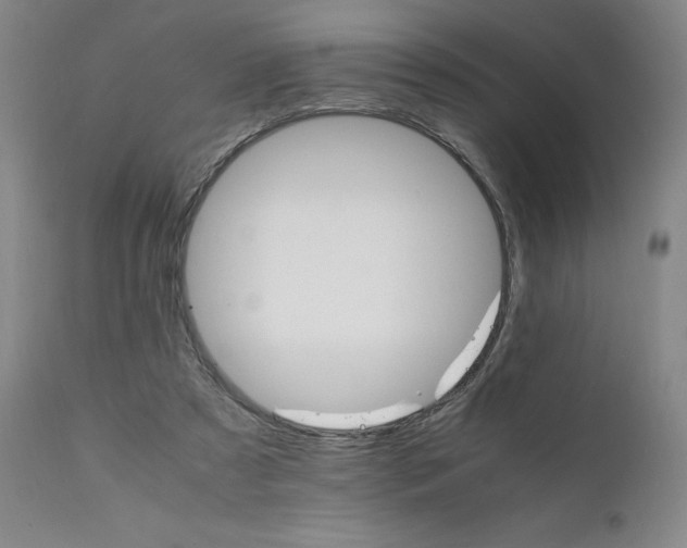 X0000111230305200907231511