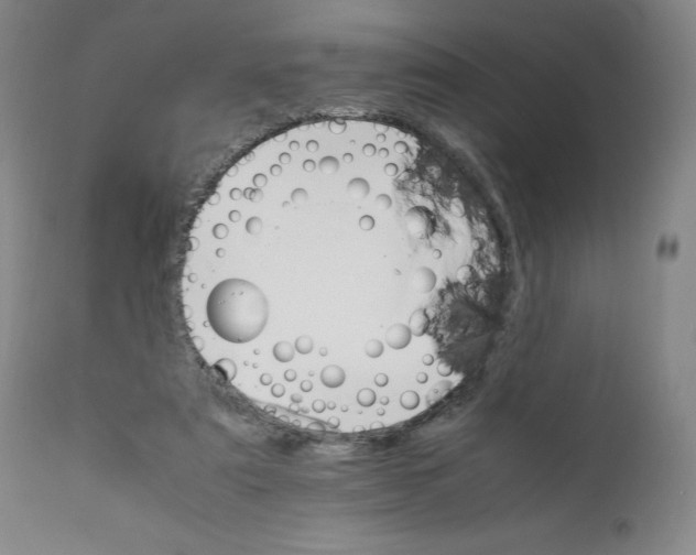 X0000111230307200907231511