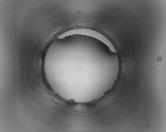 X0000111230308200907231511