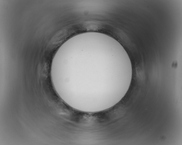 X0000111230311200907231511