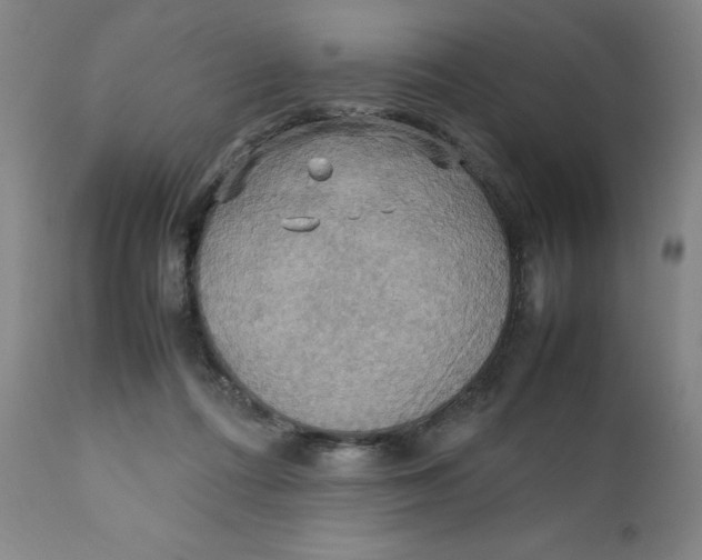 X0000111230312200907231511