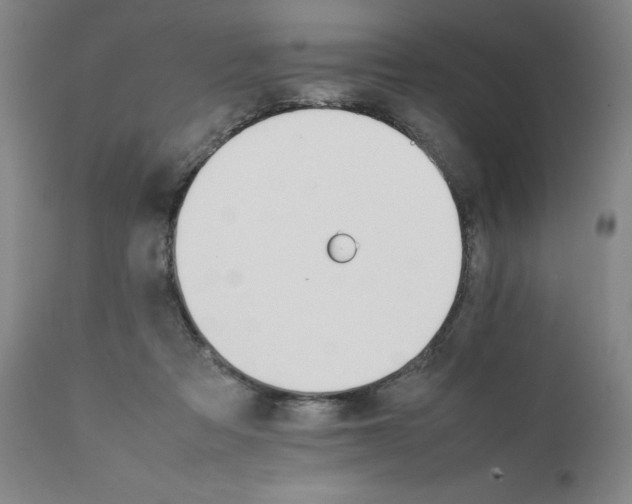 X0000111230313200907231511