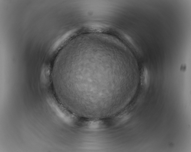 X0000111230314200907231511