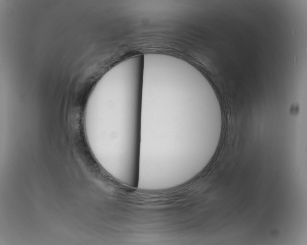 X0000111230315200907231511