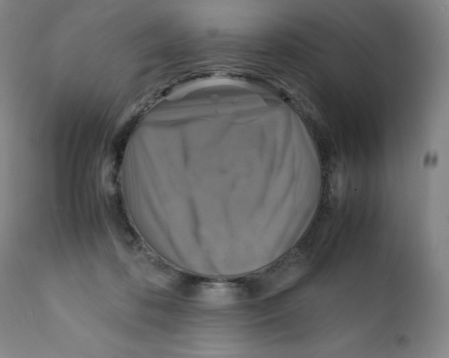 X0000111230316200907231511