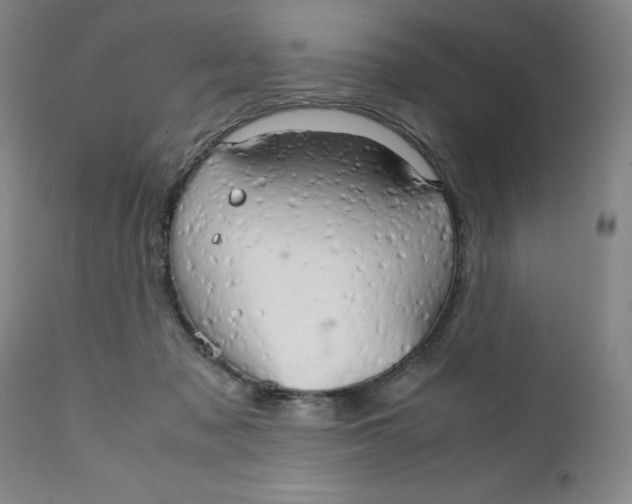 X0000111230317200907231511