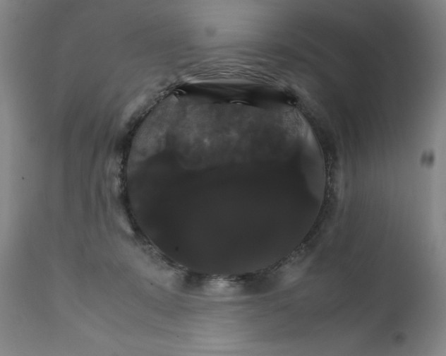 X0000111230319200907231510