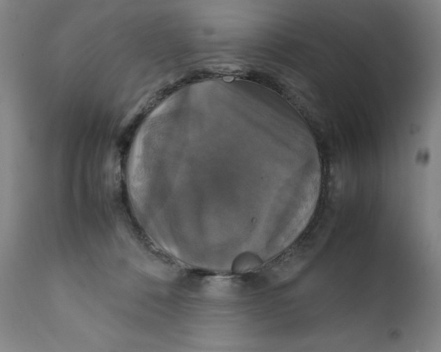 X0000111230320200907231510