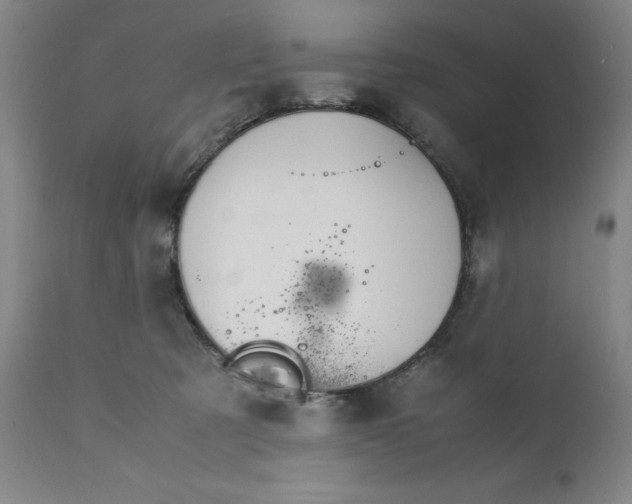 X0000111230321200907231510