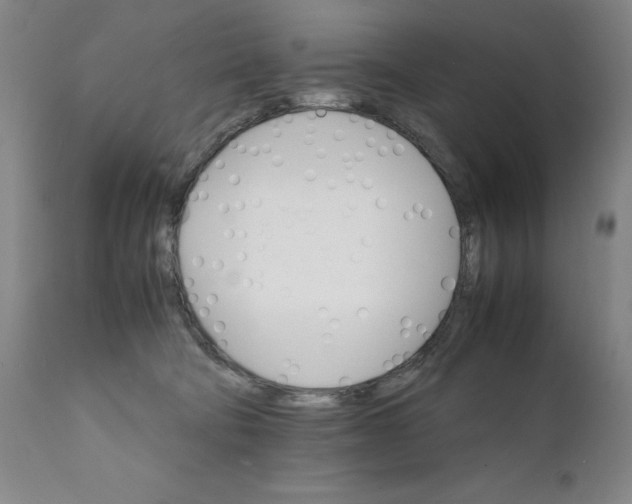 X0000111230322200907231510