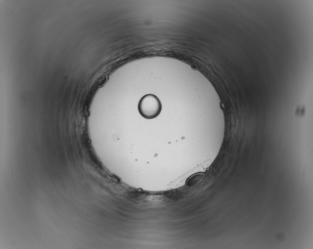 X0000111230324200907231510