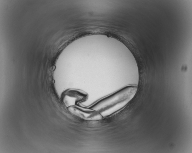 X0000111230325200907231510