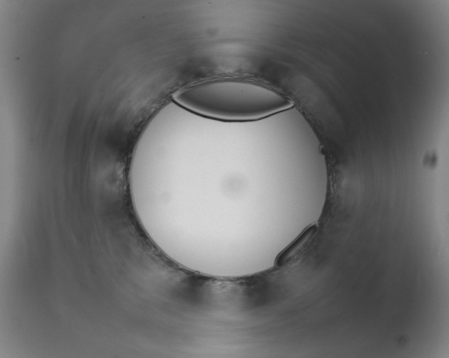 X0000111230327200907231510