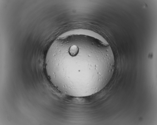 X0000111230328200907231510