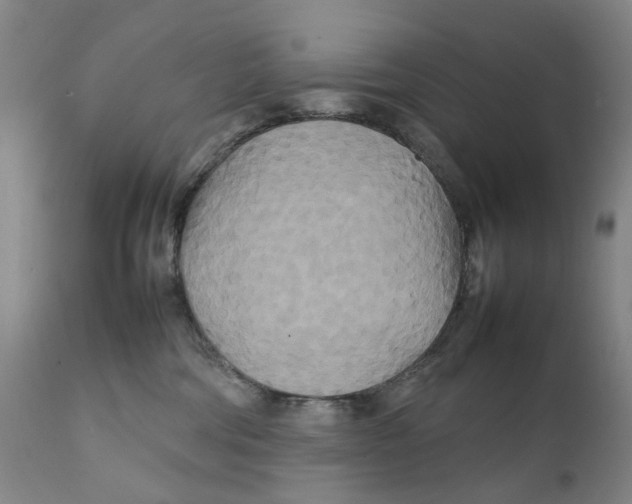 X0000111230330200907231510