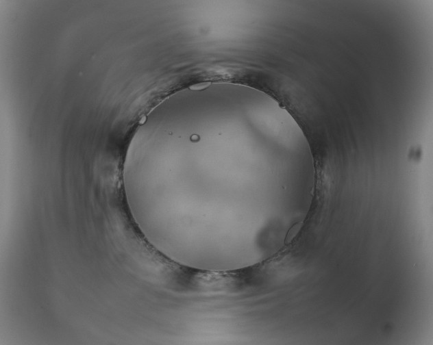 X0000111230331200907231510