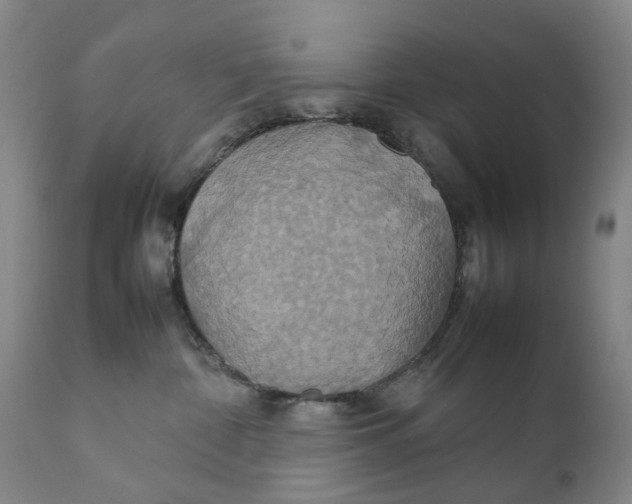 X0000111230332200907231510