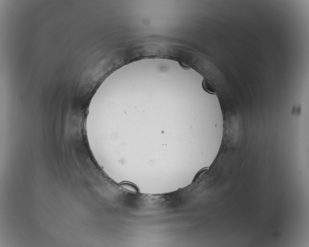 X0000111230333200907231510