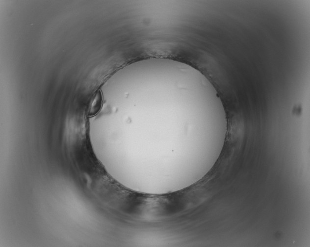 X0000111230334200907231510