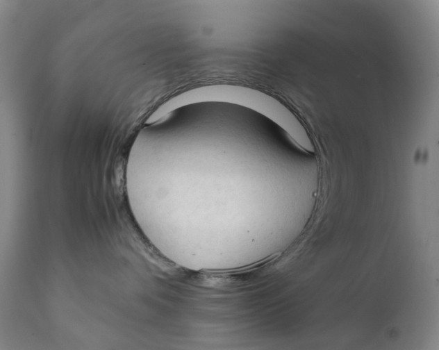 X0000111230336200907231510