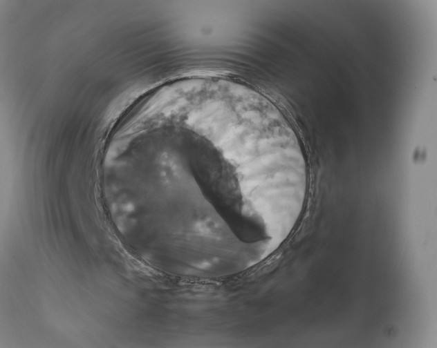 X0000111230337200907231509