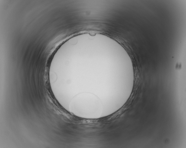 X0000111230338200907231509