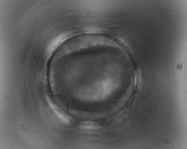 X0000111230339200907231509