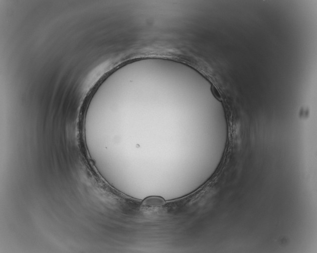 X0000111230340200907231509