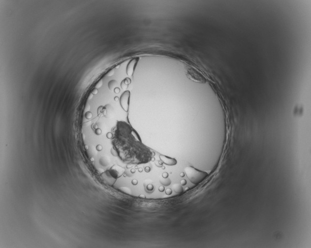 X0000111230341200907231509