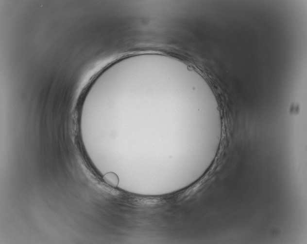 X0000111230342200907231509