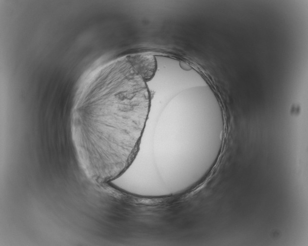 X0000111230343200907231509