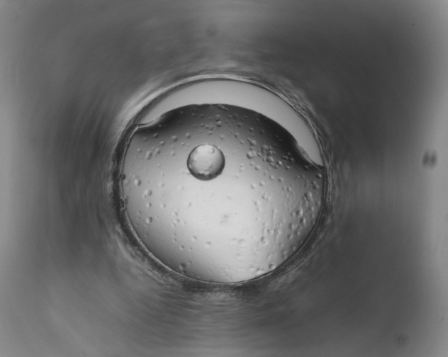 X0000111230344200907231510