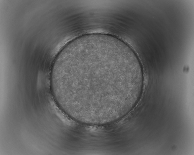 X0000111230345200907231510