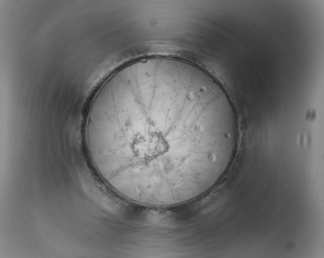 X0000111230346200907231510