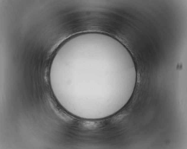 X0000111230347200907231510