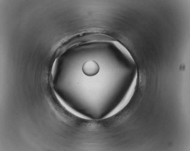 X0000111230348200907231510