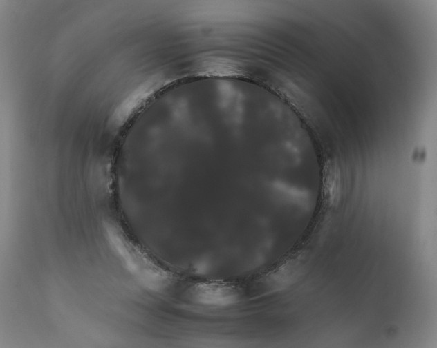 X0000111230351200907231510