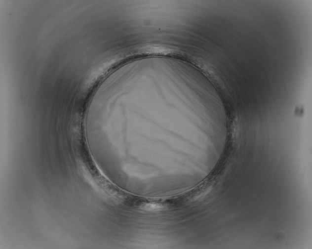 X0000111230352200907231510